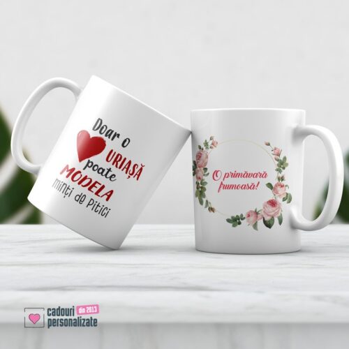 Cana personalizata Invatatoare