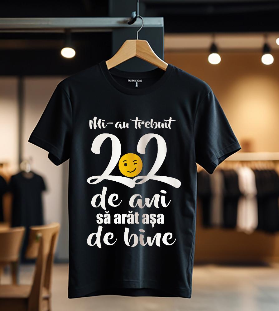 Mi-au trebuit 22 de ani - model1_Tricou