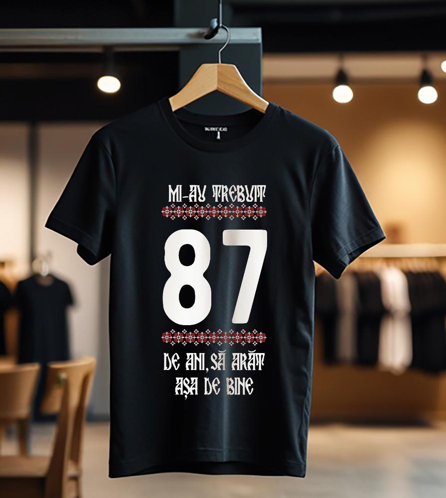 Mi-au trebuit 87 ani model4 color_Tricou